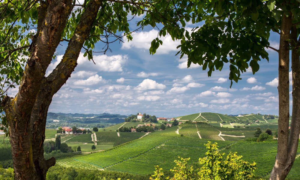 Scopri Casale Monferrato: una perla del Piemonte