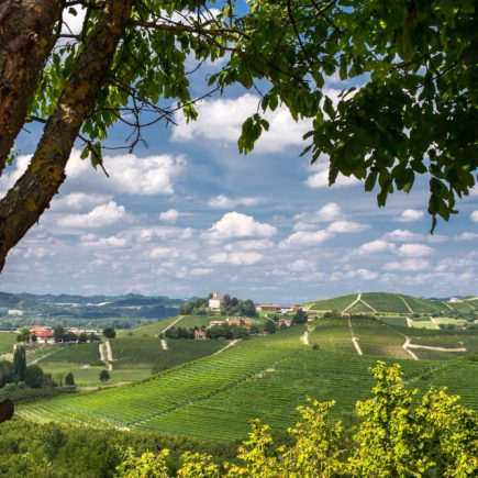Scopri Casale Monferrato: una perla del Piemonte