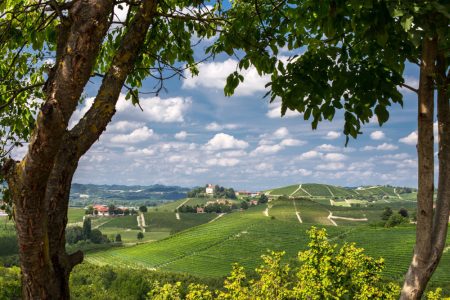 Scopri Casale Monferrato: una perla del Piemonte
